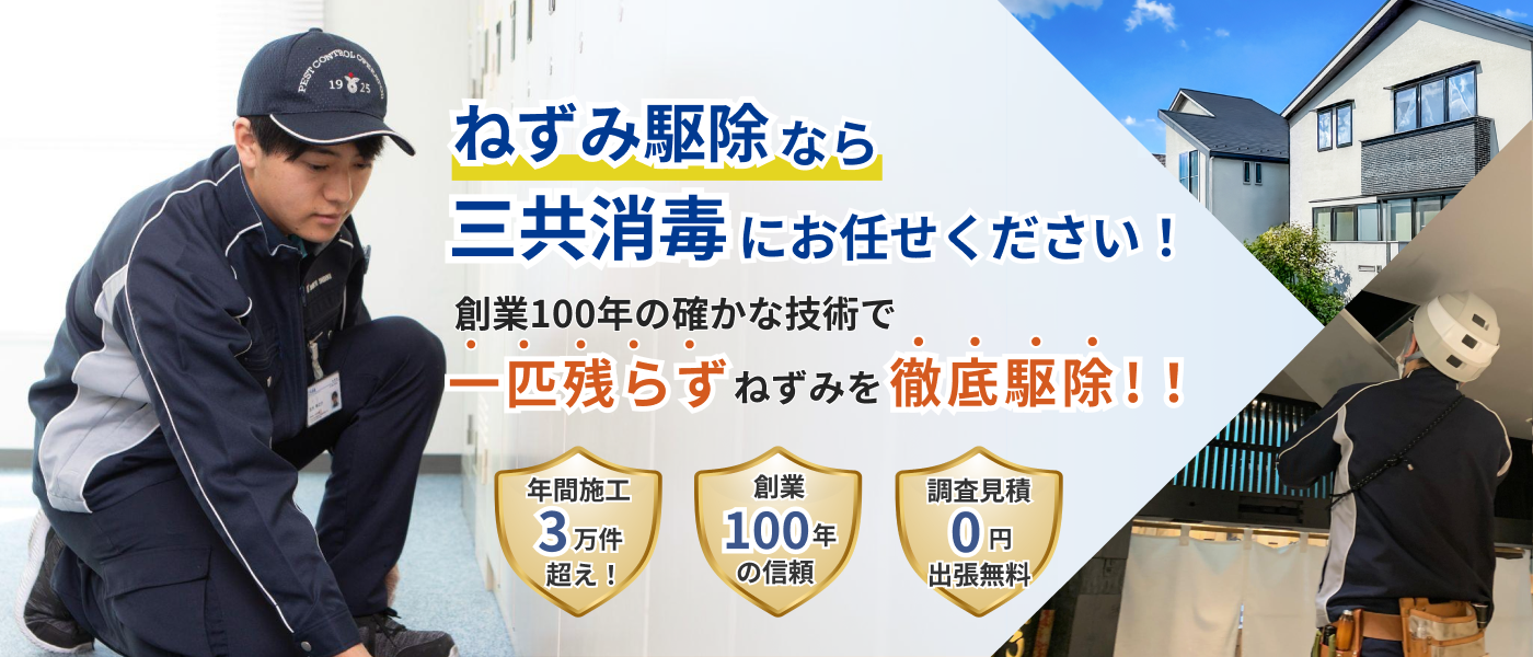 ねずみ駆除なら三共消毒にお任せください！創業100年の確かな技術で一匹残らずねずみを徹底駆除！！|年間施工3万件超え|創業100年の実績|調査見積0円出張無料